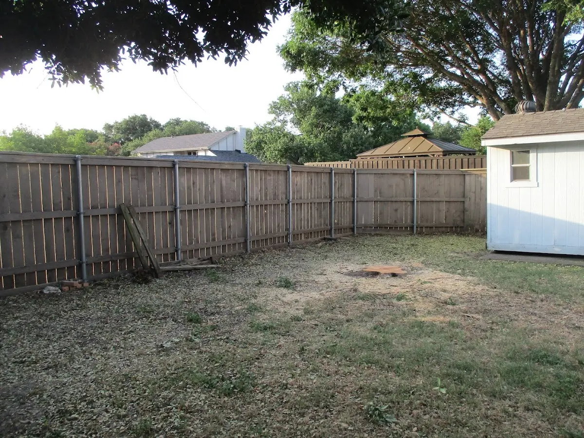 Cleared yard after professional tree removal in Eagletown